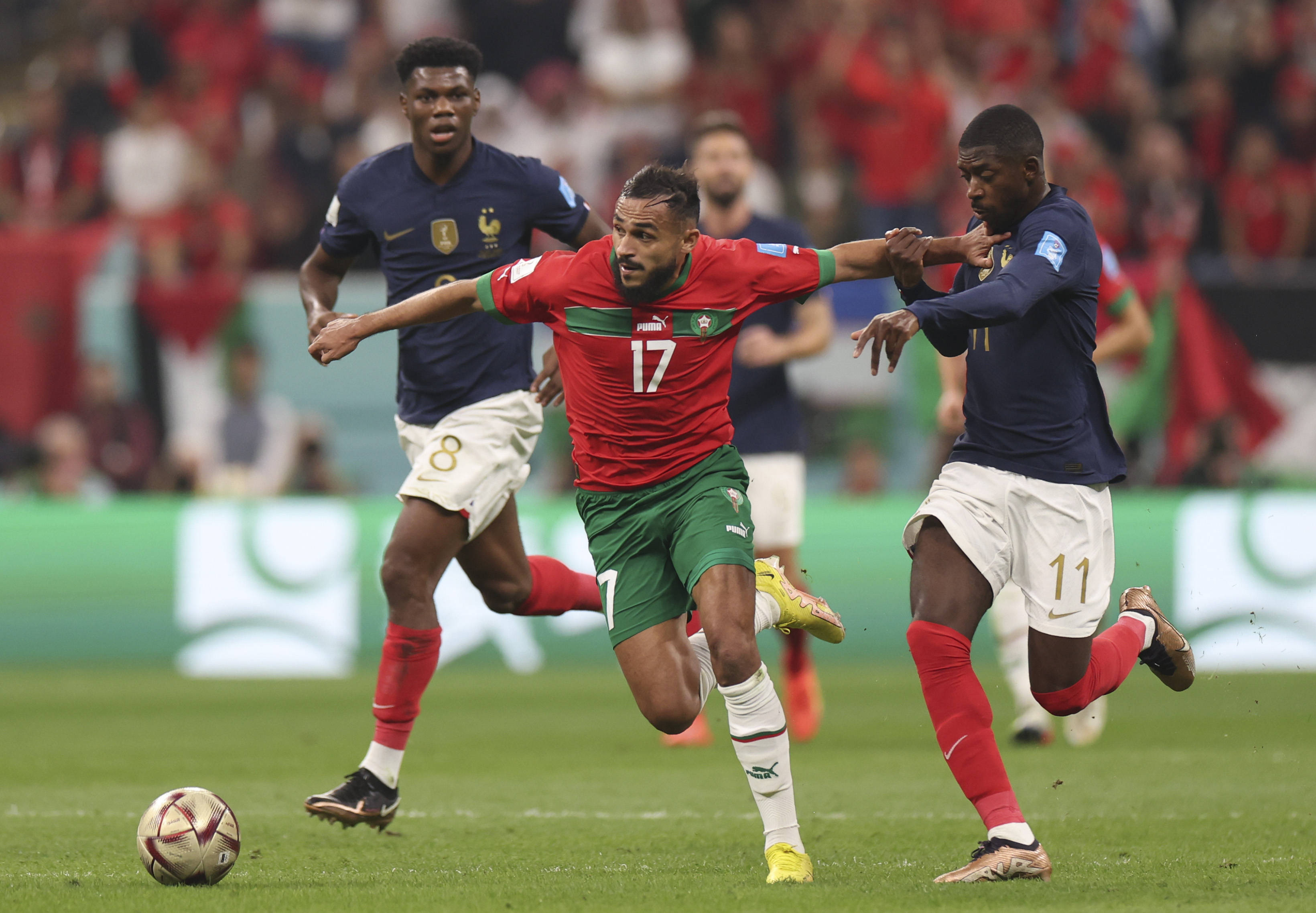 这一态度与 这一态度与