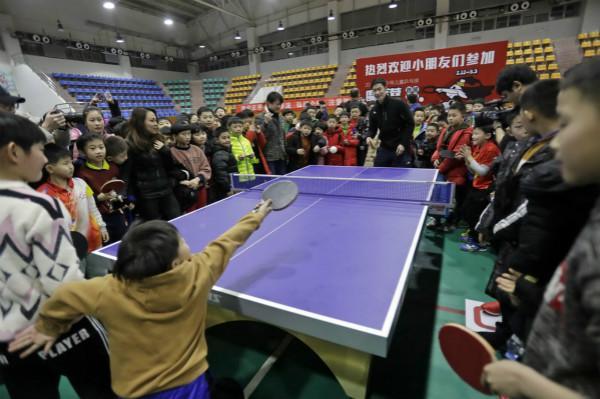 仅展示了球 仅展示了球