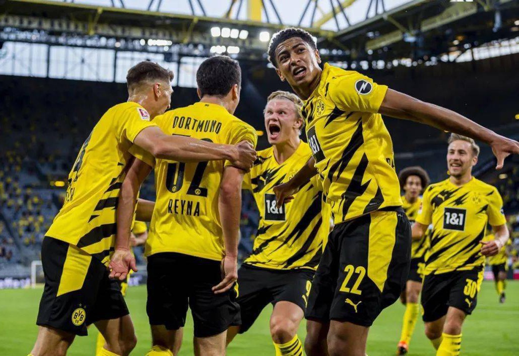 似乎也仅能 似乎也仅能